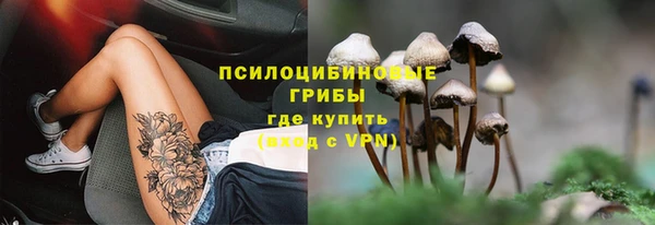 кокс Абаза