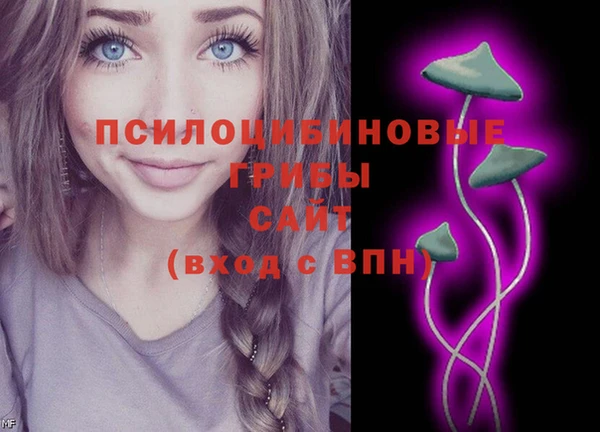 кокс Абаза