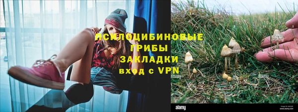 кокс Абаза