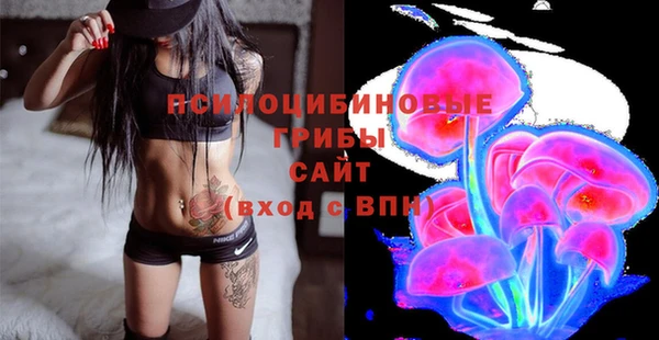 винт Абинск