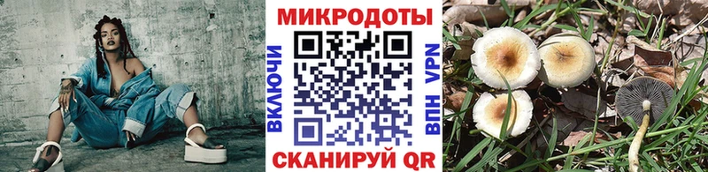 блэк спрут ТОР продажа наркотиков мориарти клад Псилоцибиновые грибы прущие грибы Кораблино